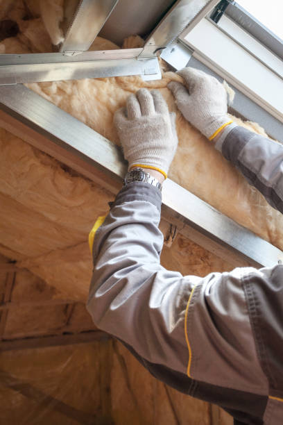 Types of Insulation We Offer in Las Vegas, NM